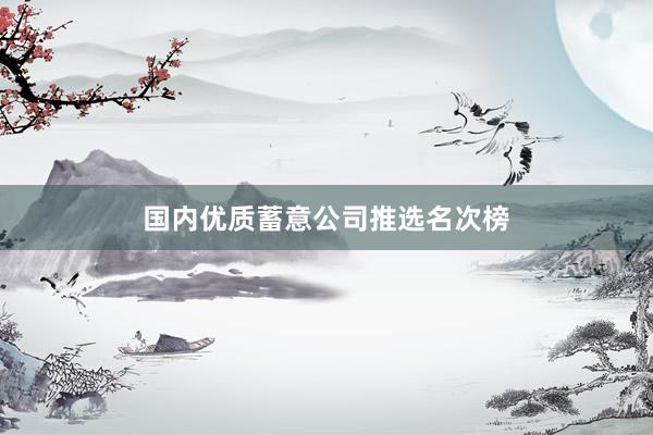国内优质蓄意公司推选名次榜