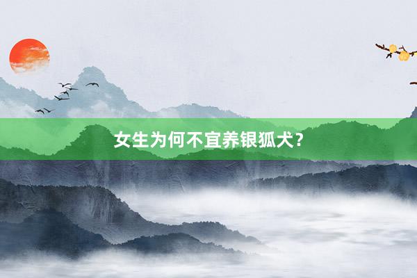 女生为何不宜养银狐犬？
