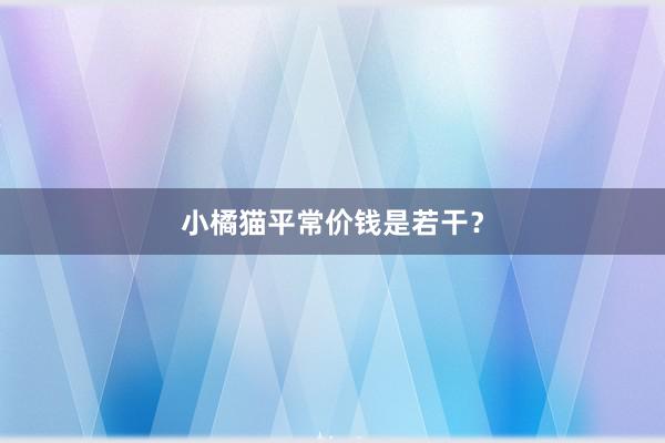 小橘猫平常价钱是若干？